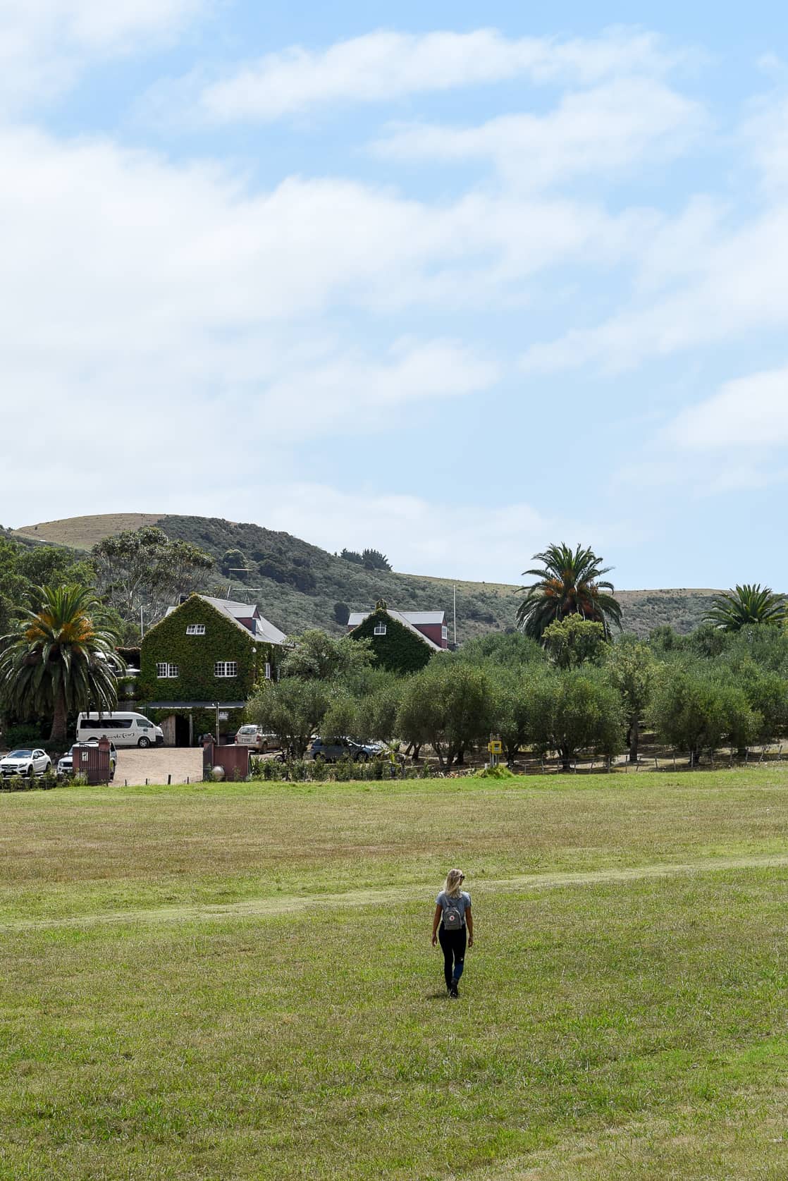 waiheke island