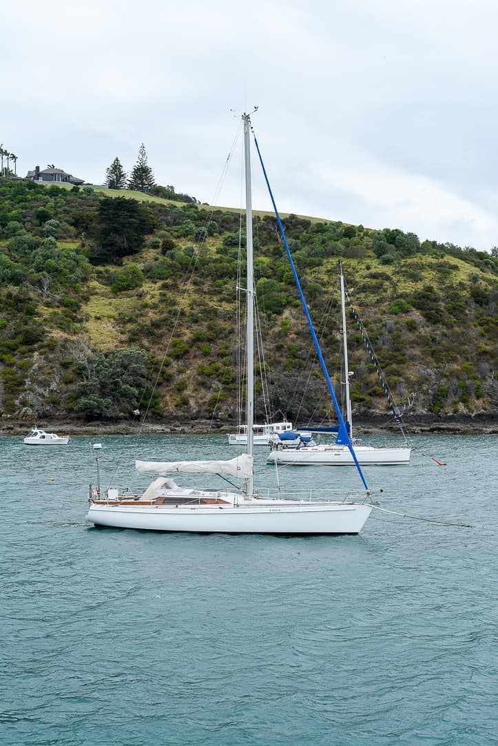 waiheke island sailboat in harbor