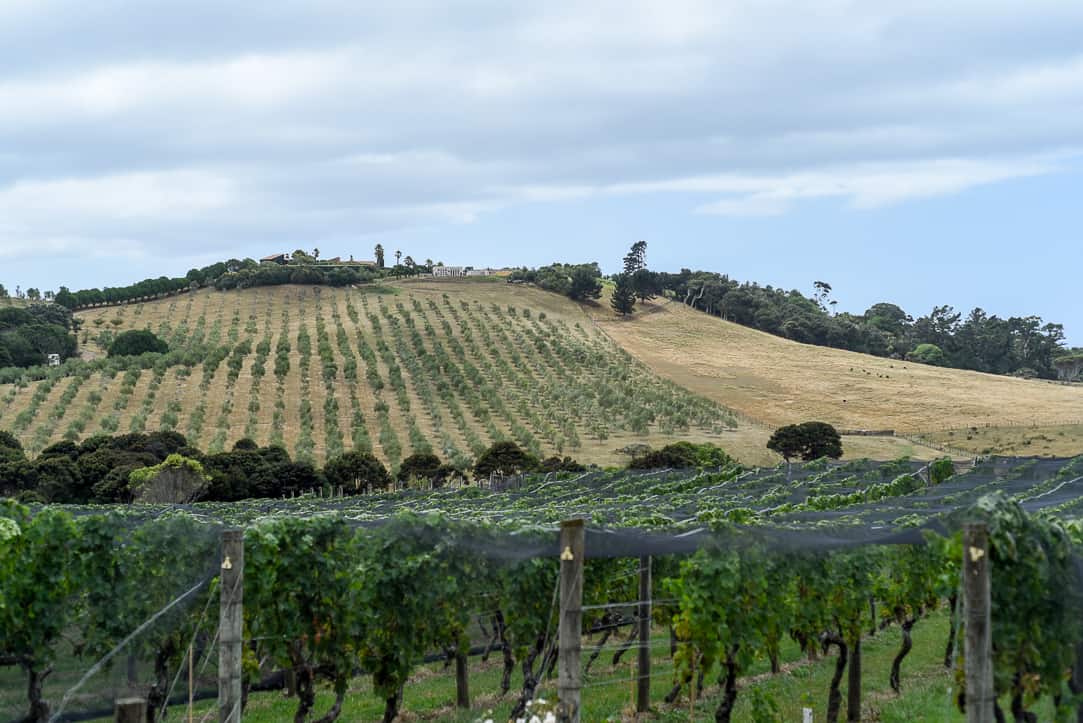 waiheke island