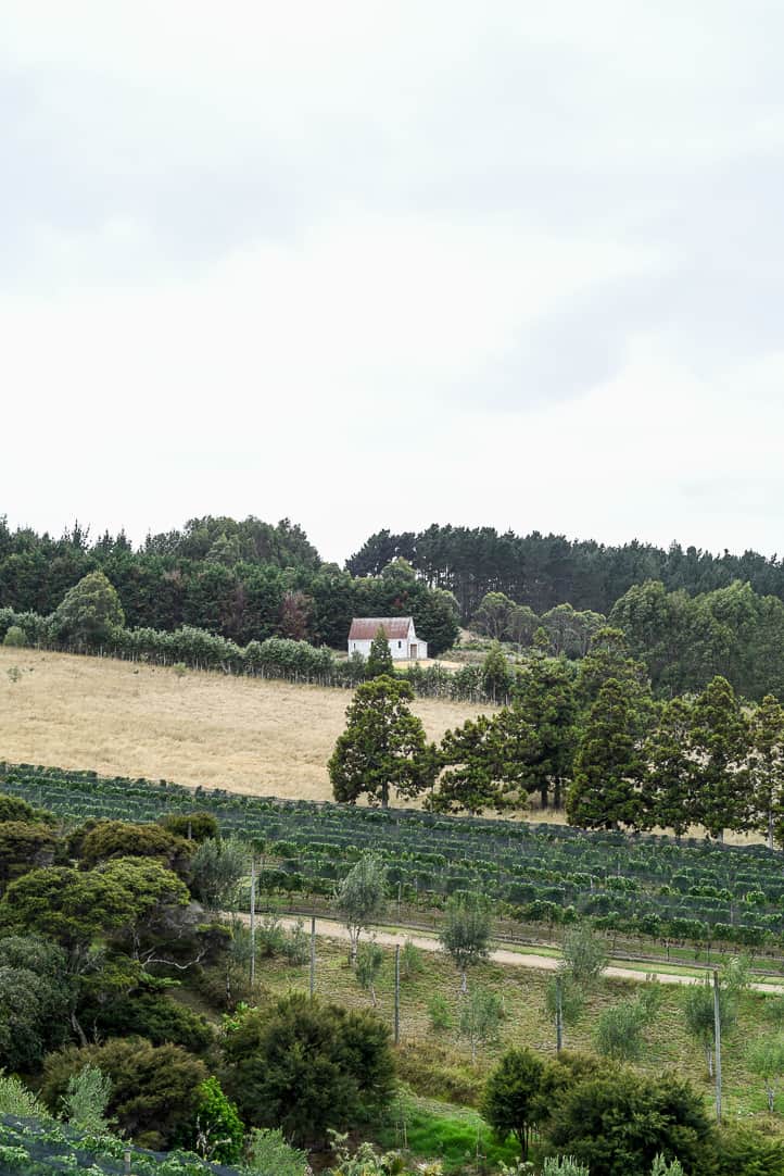 waiheke island vineyard villa