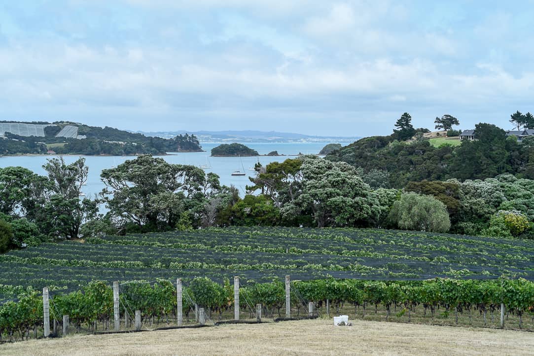 waiheke island