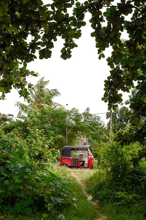 tuk tuk in tropical setting sri lanka