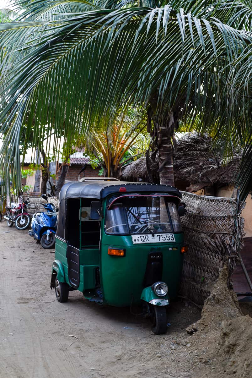 green tuk tuk under palm trees in sri lanka