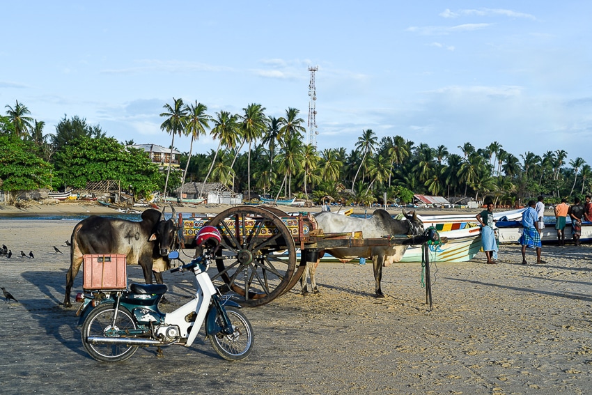 surf travel