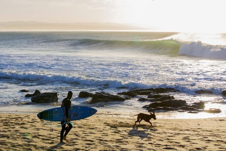 Surfing South Africa / The Western Cape, Jeffreys Bay, and Beyond