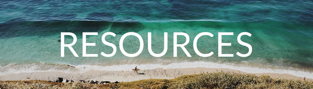 lush palm surf travel resources