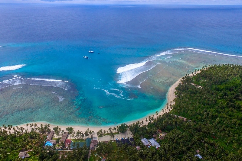 hollow trees resort mentawai islands