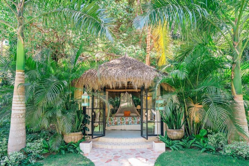 Amor Boutique Hotel A Tropical Oceanfront Oasis in Sayulita