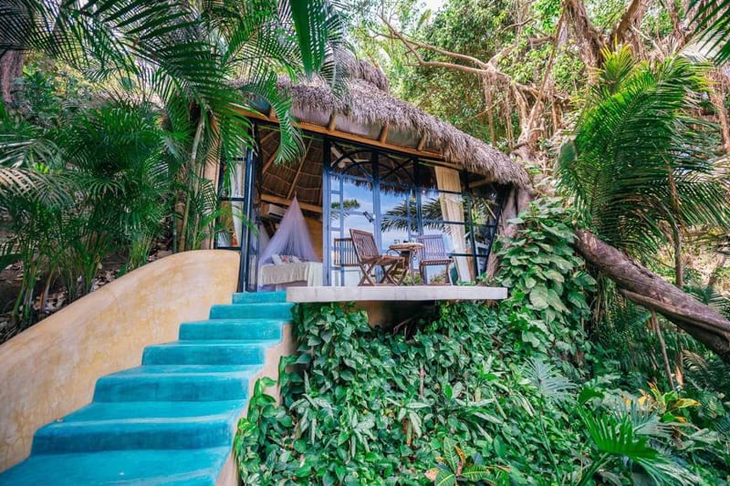 Amor Boutique Hotel A Tropical Oceanfront Oasis in Sayulita