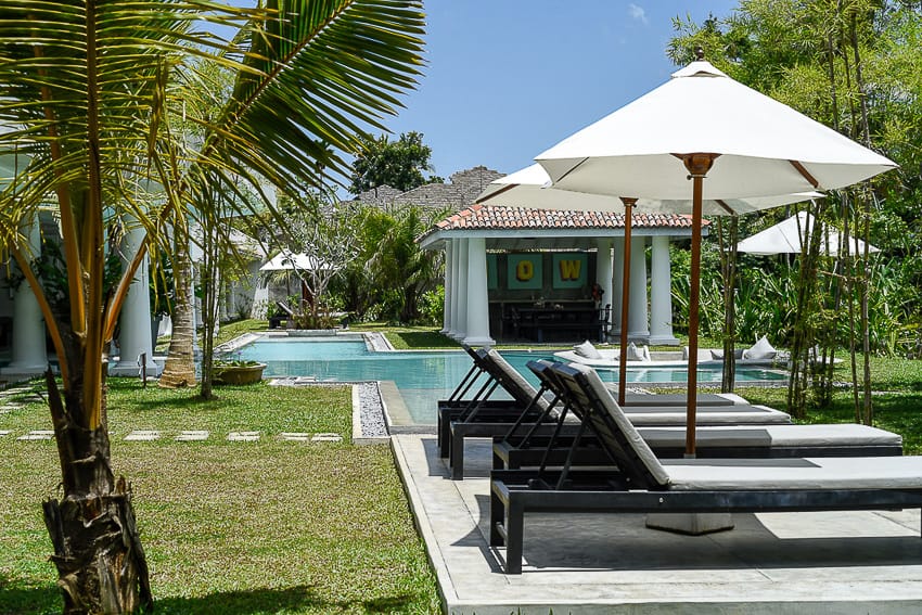 surf camps for adults