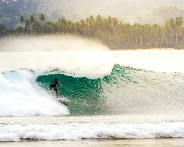 surfer riding clean wave in indonesia tropics