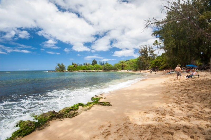 surf trips for beginners north shore oahu