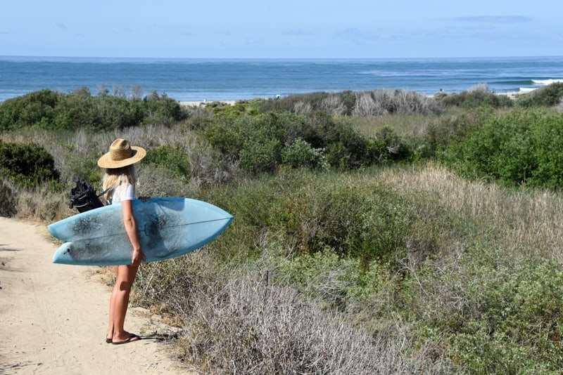 Surfboard Shapes 101 The Ultimate Guide To Modern Surfboards