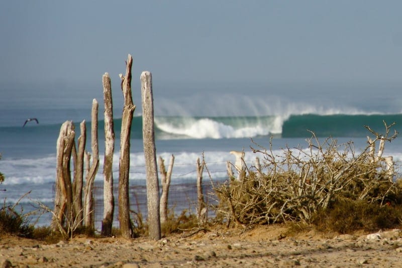 surfing mexico