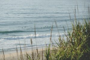 surfing portugal santa cruz