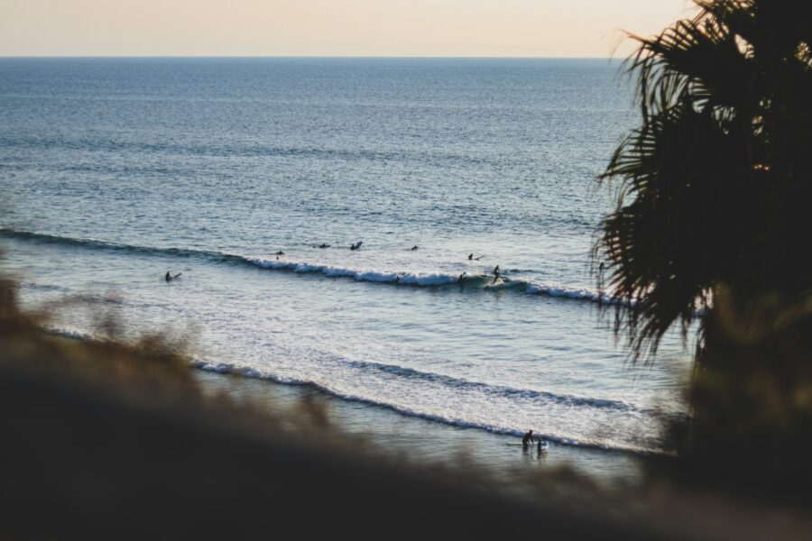 surfers at encinitas california beach