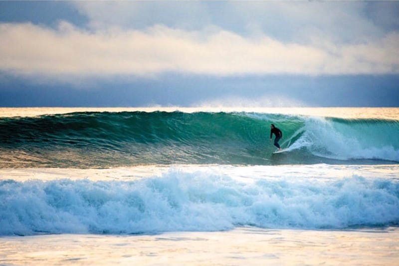 venice beach surf