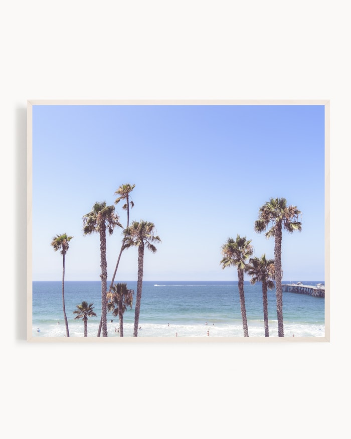 Summer in San Clemente California | Ocean Wall Art | Lush Palm