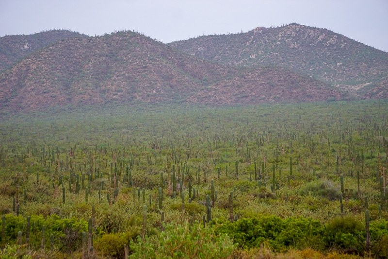 baja california road trip