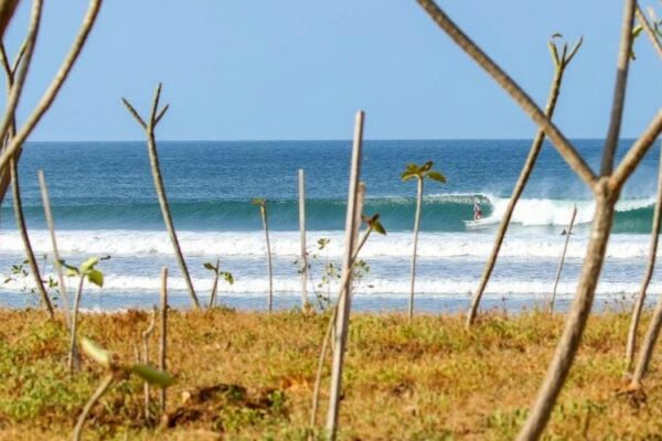 playa guiones surf