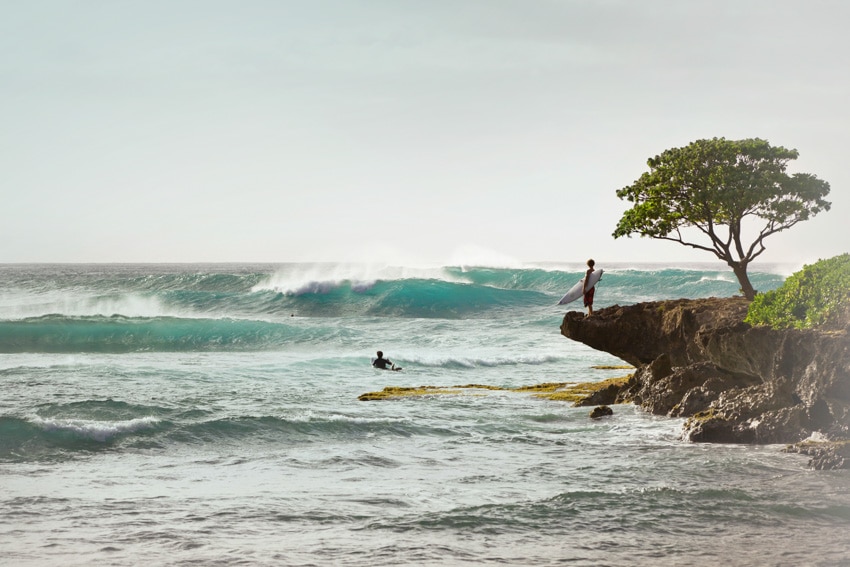 turtle bay west surfing