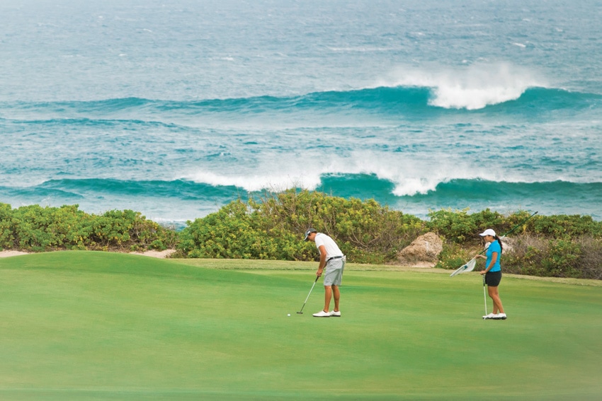 turtle bay resort gold course