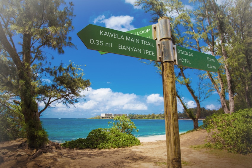 turtle bay resort trails