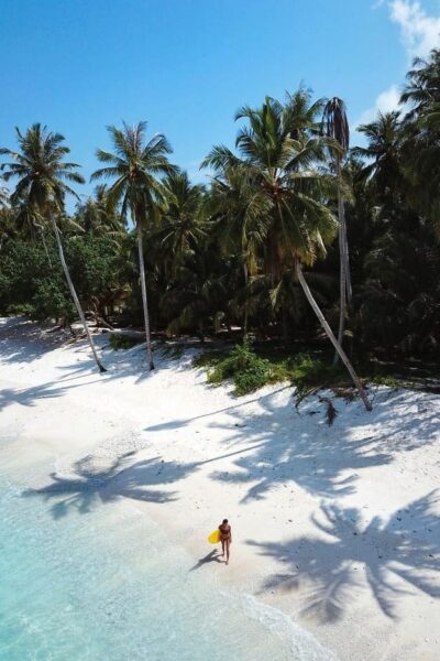 hollow trees resort mentawai islands