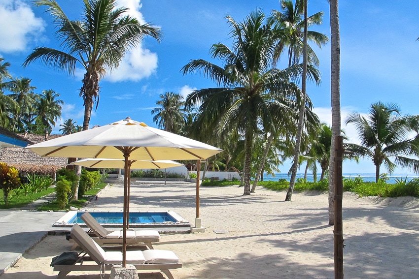 hollow trees resort mentawai islands