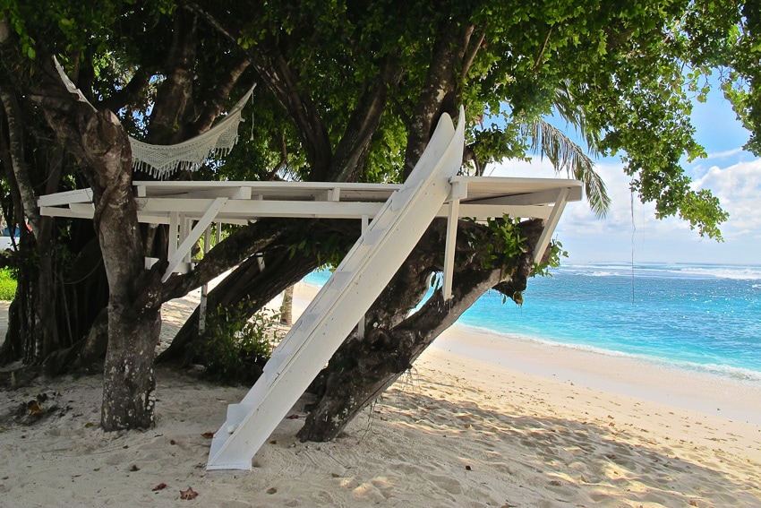 hollow trees resort mentawai islands