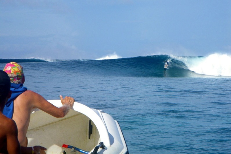 Surf eco deals