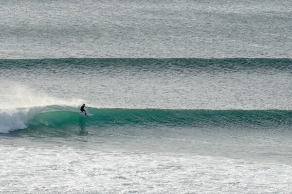 lush palm surf club