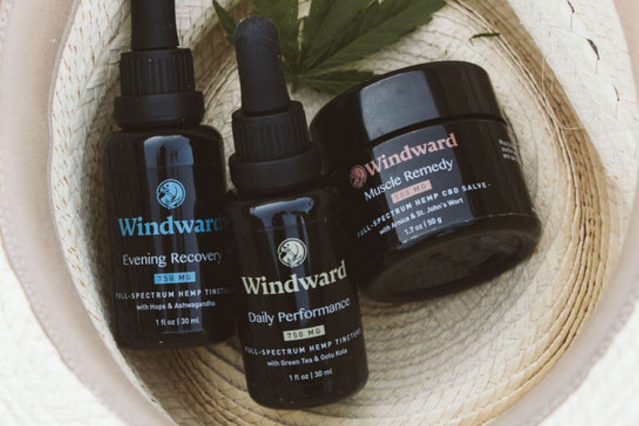 presentes cbd de windward para surfistas