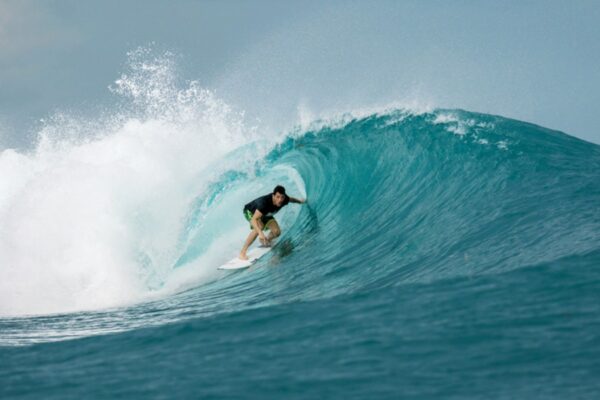 awera surf resort surfing mentawai