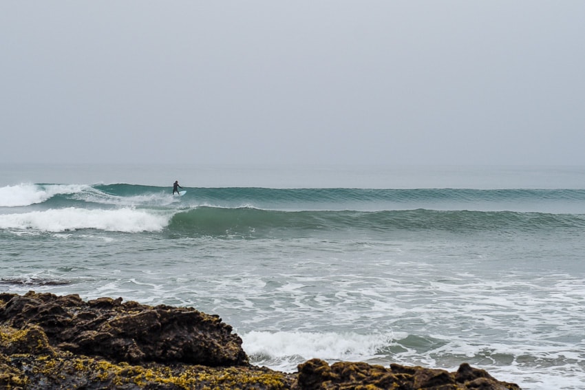 surf fish prancha de surfe