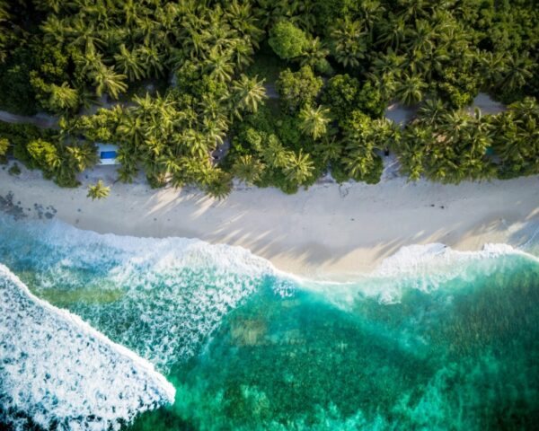 aerial view of tropical beach in the maldives