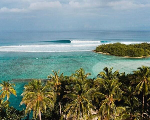 maldives surf