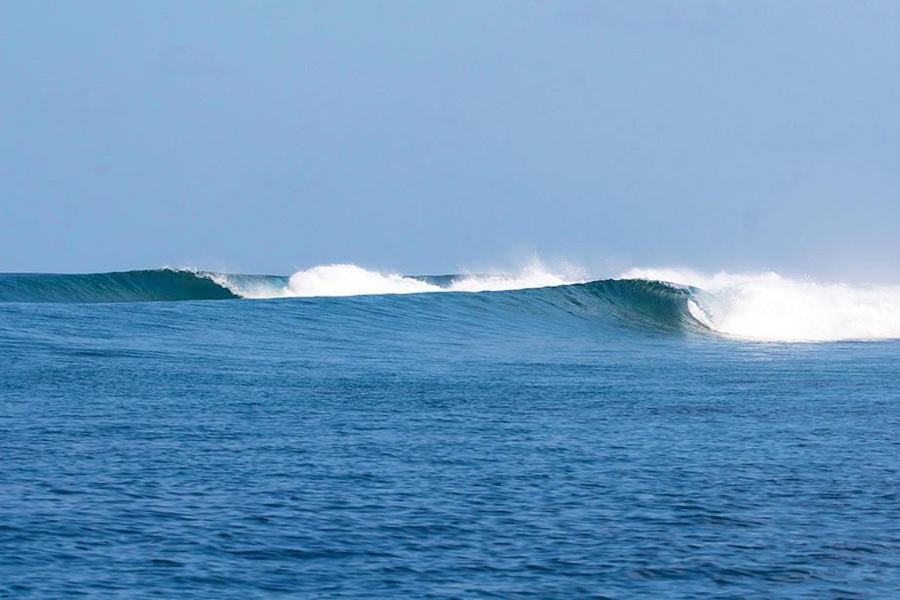 maldives surf