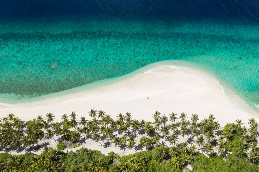 surfing maldives