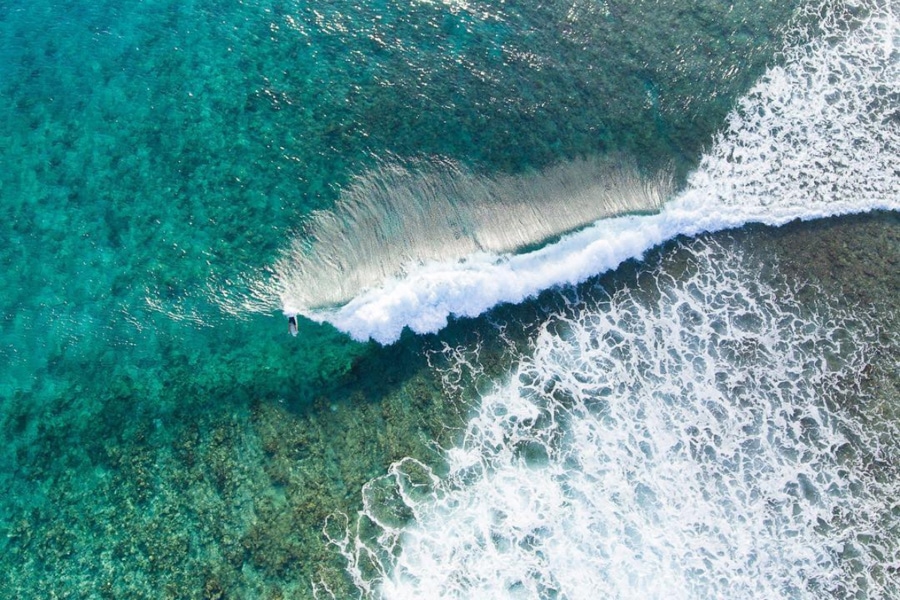 surfing maldives