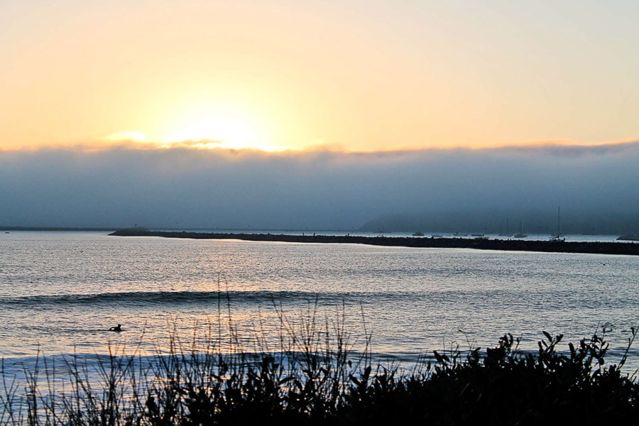 beach camping northern california half moon bay