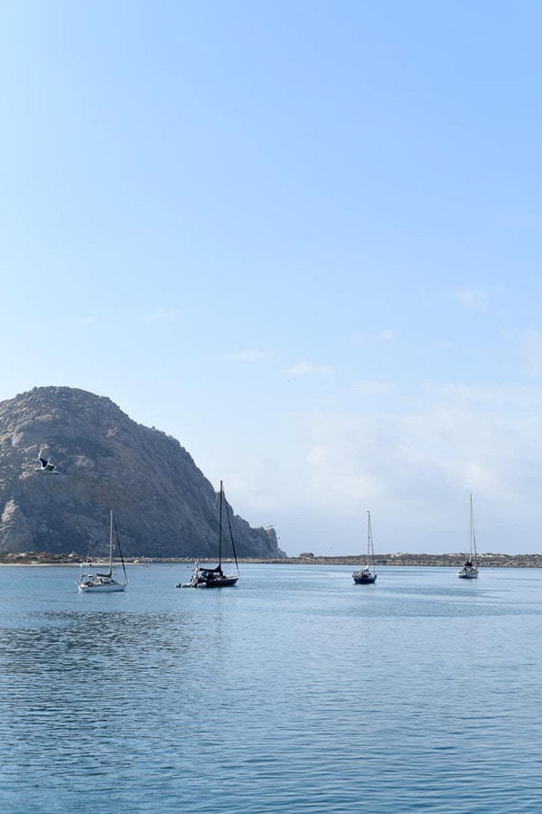 boats in morro bay harbor