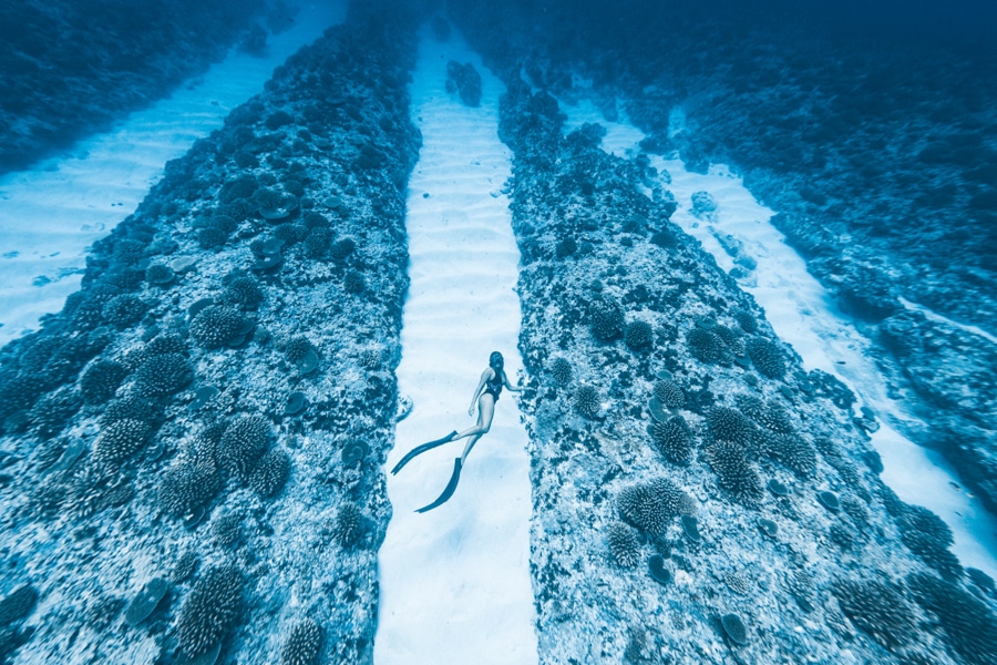 tahiti things to do freediving coral reef