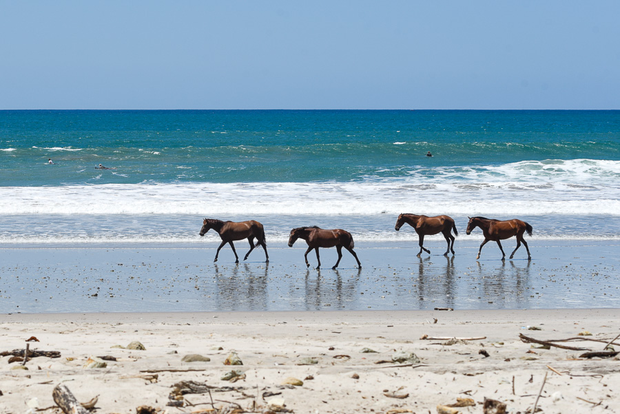 santa teresa costa rica beach