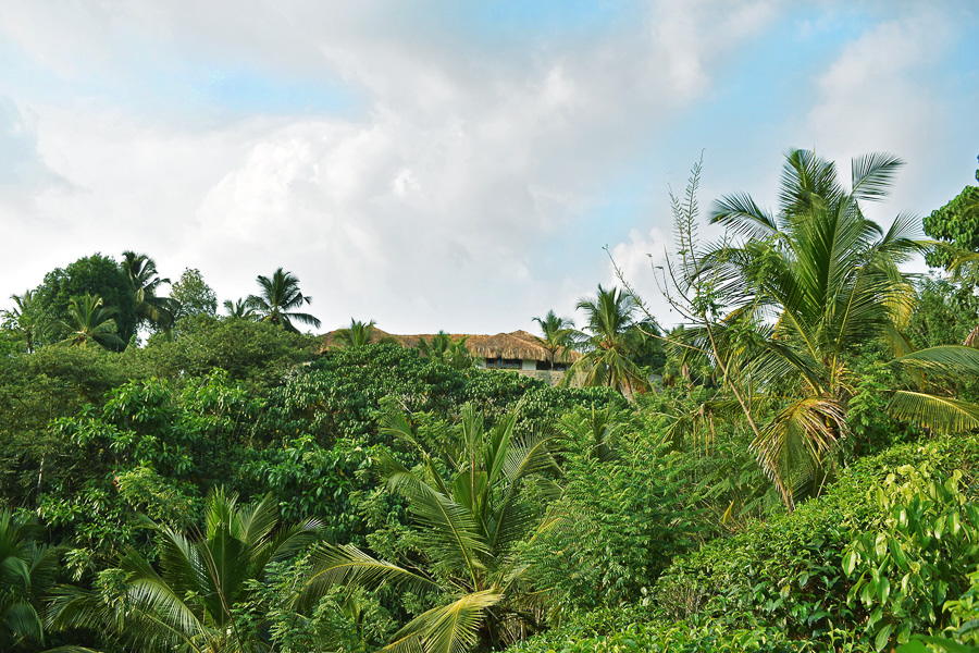 soul and surf sri lanka surf retreat