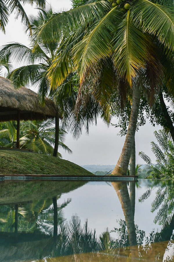 sri lanka surf camp