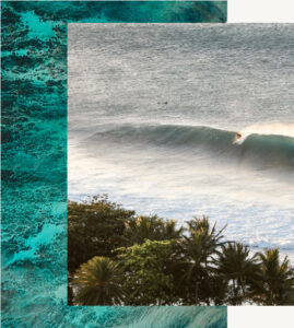 Oahu Surf Spots / A Guide to the Top Surf Breaks in Oahu