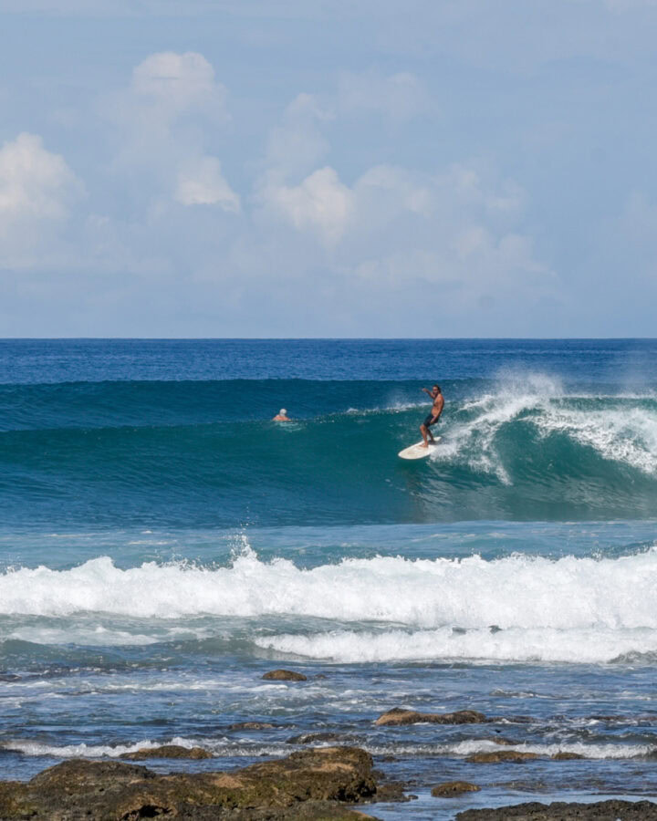 lush palm signature surf trips